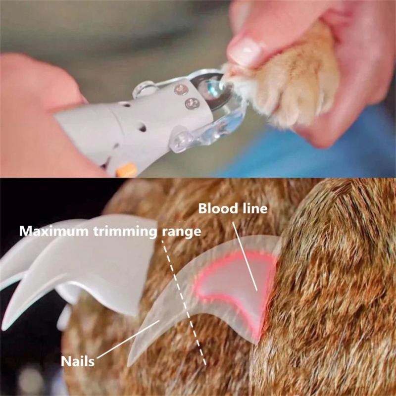 1PC Pet Nail Clipper with LED  - Home Bathroom Cleaner recension och pris
